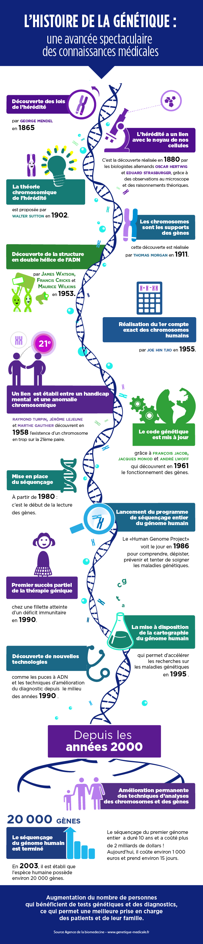 Histoire de la génétique : de l'hérédité au séquençage du génome